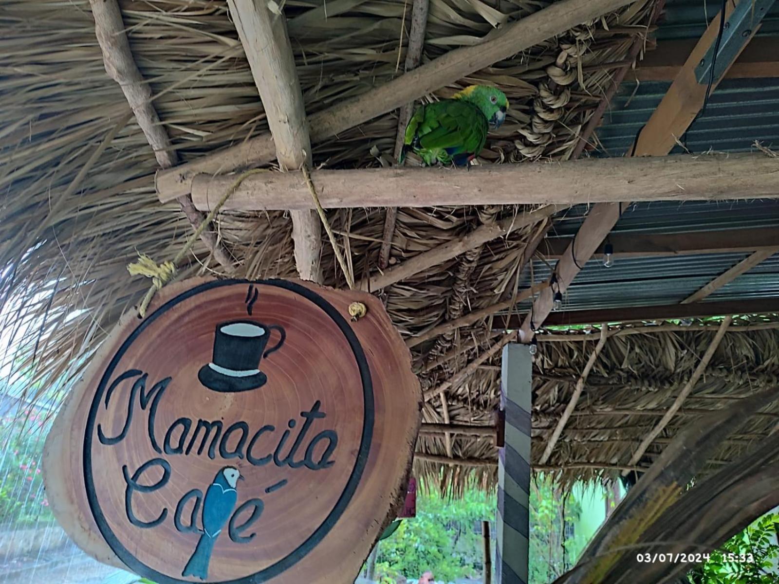 Готель Mamacita Cafe House Мойогалпа Екстер'єр фото