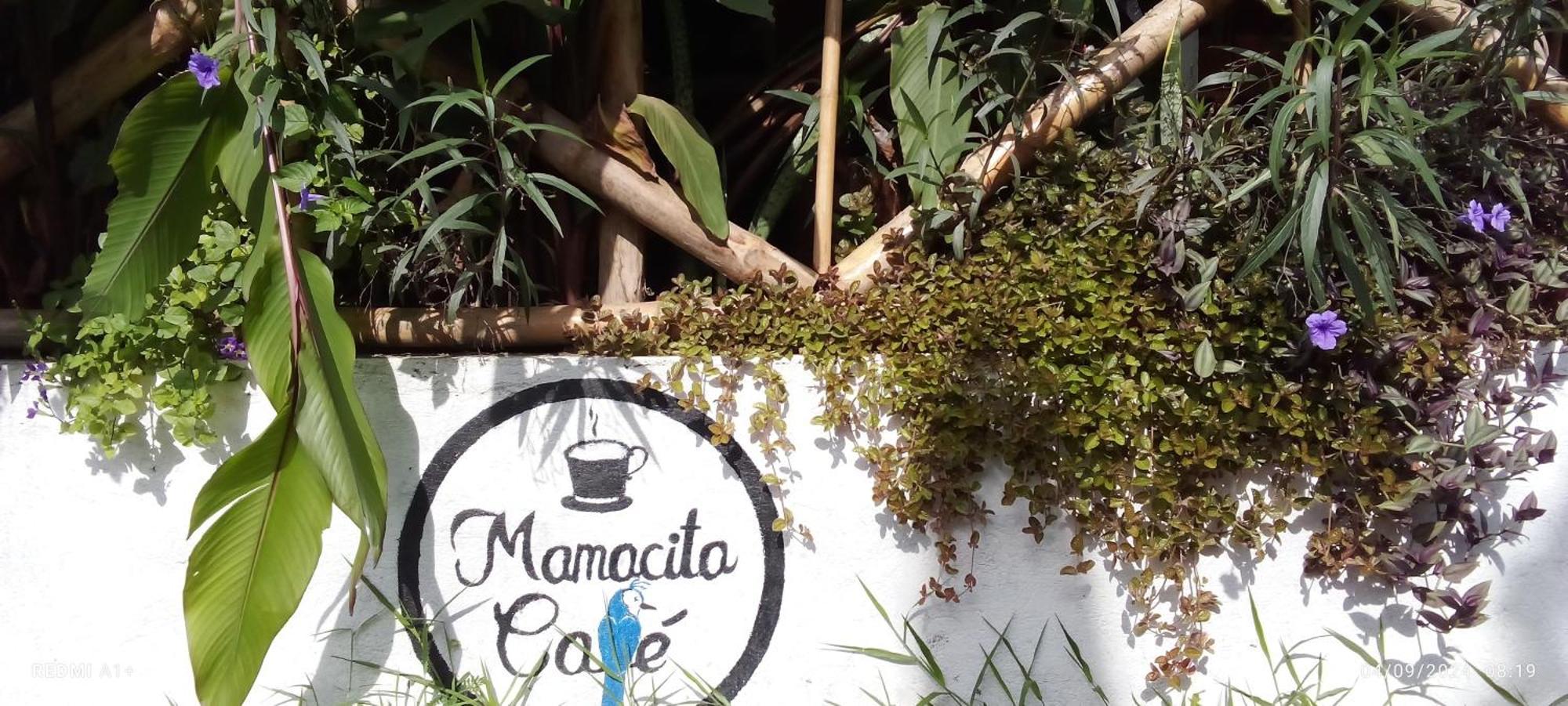 Готель Mamacita Cafe House Мойогалпа Екстер'єр фото
